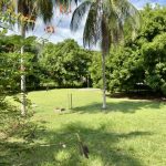 zona verde 1